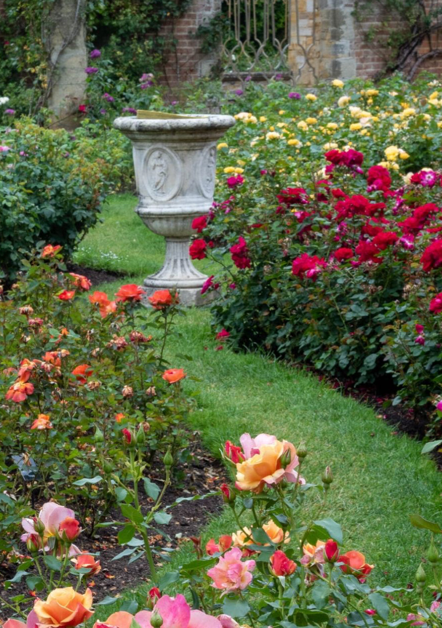Nana's Garden